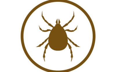 Disinfestazione Acari