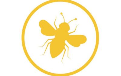 Allontanamento Api