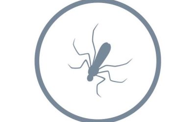 Disinfestazione Moscerini
