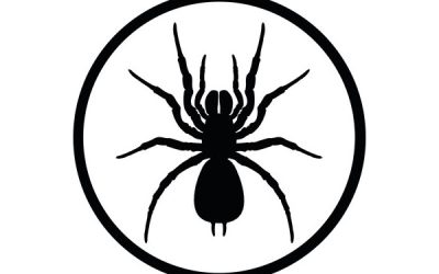 Disinfestazione Ragni