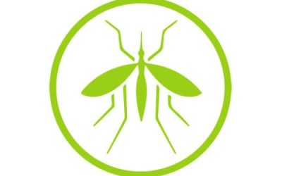 Disinfestazione Zanzare